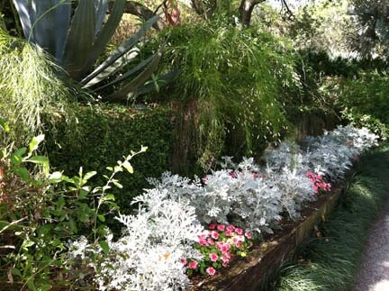 Lovely flowered walkways like this at Bok Tower Gardens