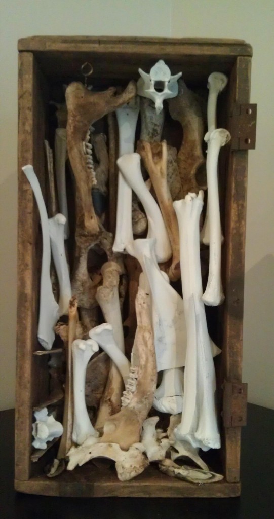 Studio West Nature Exhibit