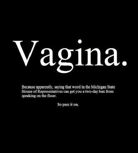 Vagina snaps Michigan media to attention