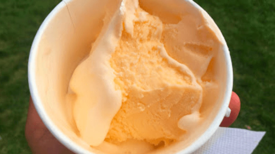 Howell melon ice cream available for order The Livingston